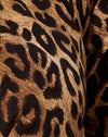 Nacht Leopard Braun