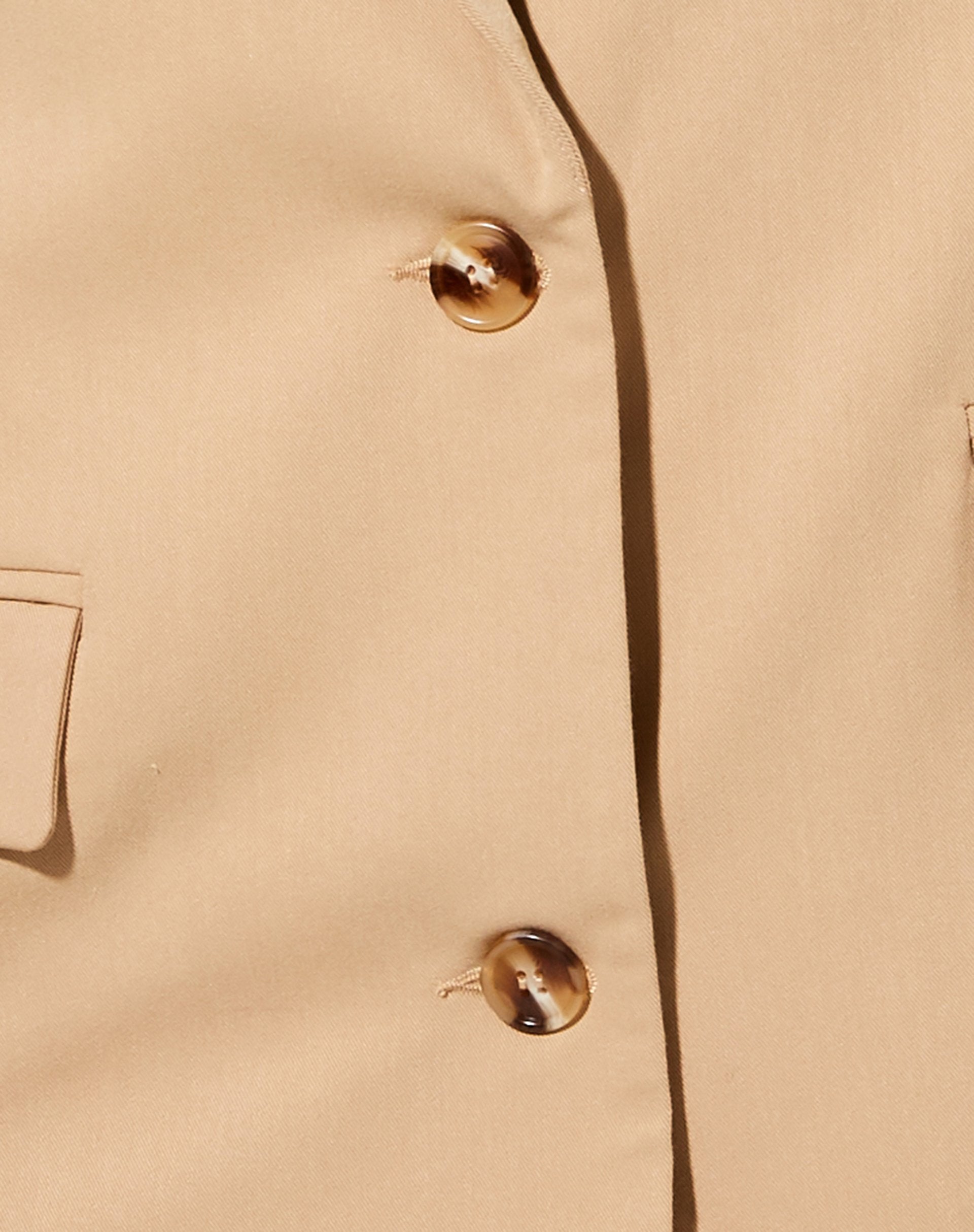Bild von Maiwa Blazer in Tan