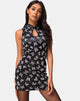Image of Marli Kleid in Schwarz Schmetterlingsflock