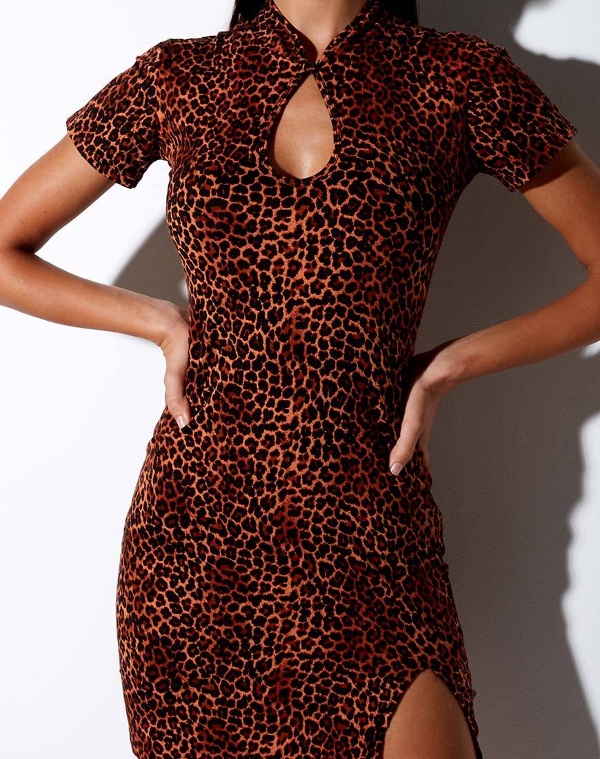 Marlin Bodycon Kleid in Ditsy Leopard Orange