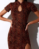 Image of Marlin Bodycon Kleid in Ditsy Leopard Orange