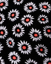 DancingDaisy