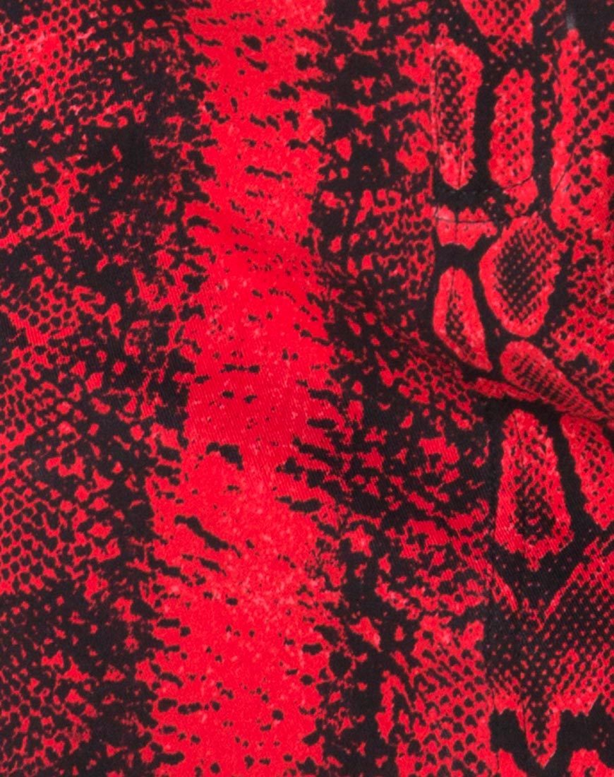 Bild von Mini Broomy Skirt in Red Snake