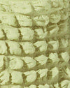 Big Bubble Jersey Pastell-Limette