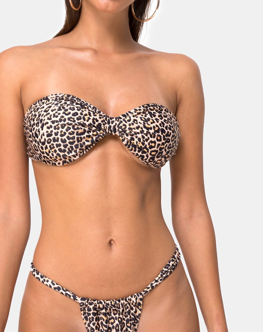 Bild von Nevada Bikinioberteil in Rar Leopard