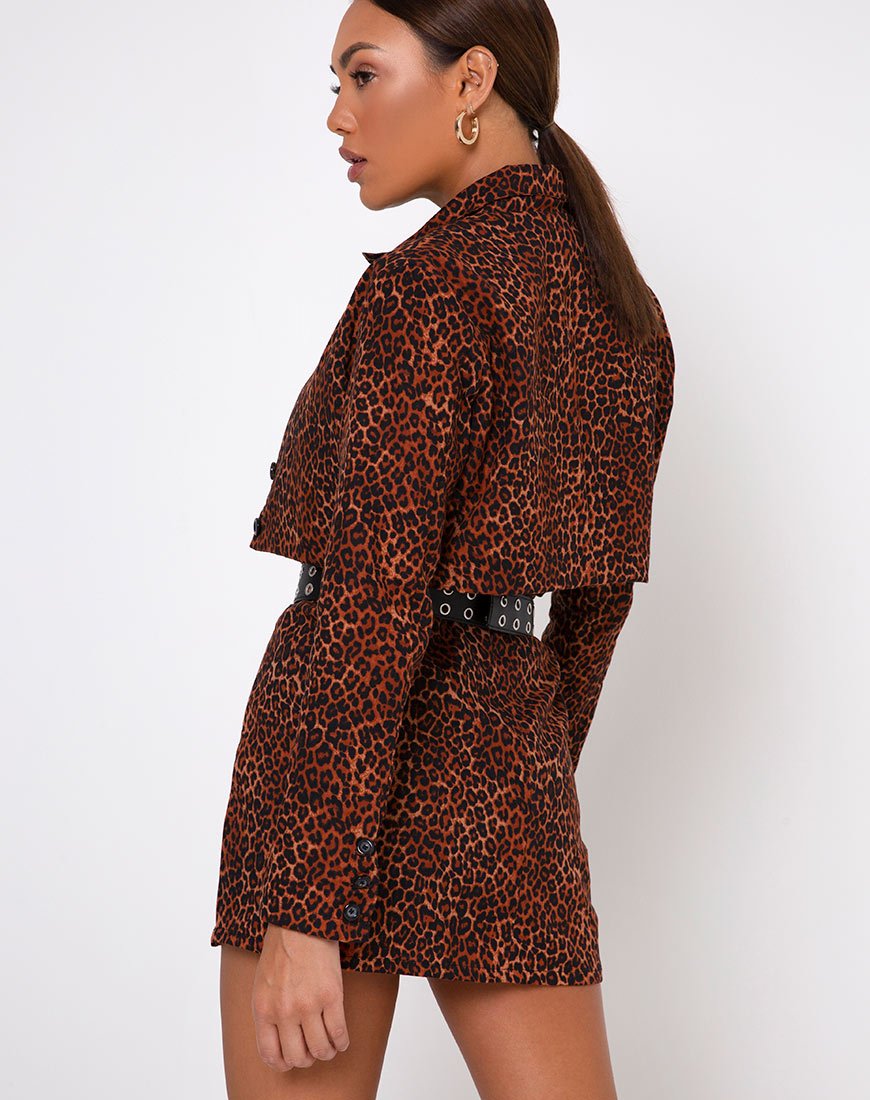 Sheny Minirock in Ditsy Leopard Orange
