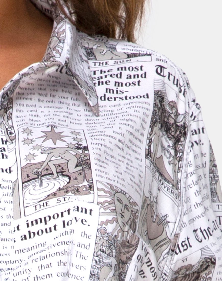 Bild von Oxford Shirt in Tarot
