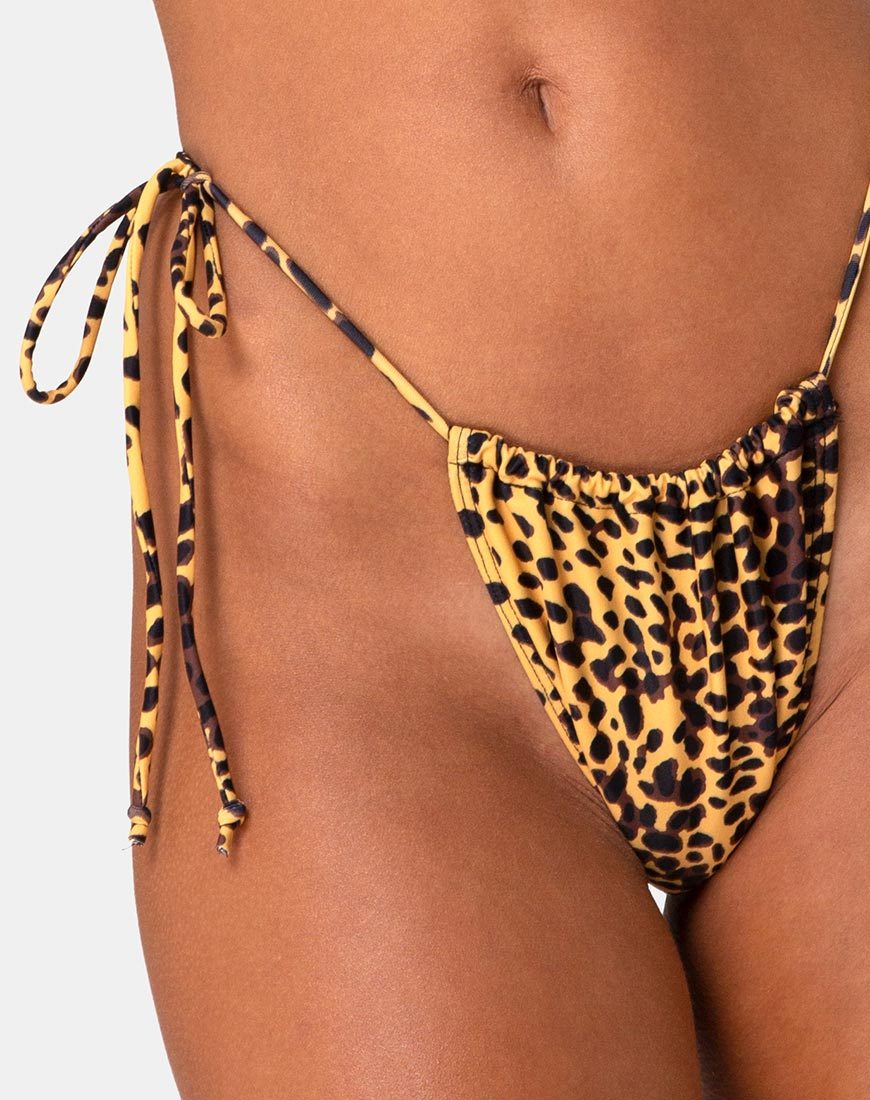 Bild von Leyna Bikiniunterteil in Golden Cheetah