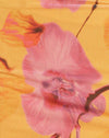  Unscharfe Orchidee Pfirsich