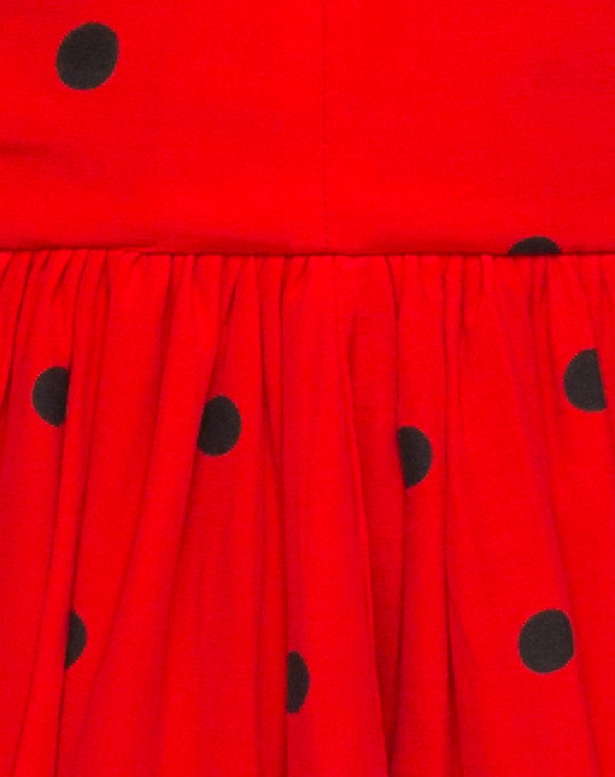 Bild von Puff Ball Rock in Polkadot Rot und Schwarz
