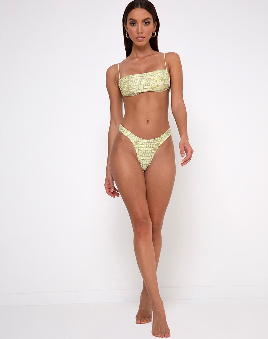 Bild von Farida Bottom Bikini in Croc Grün