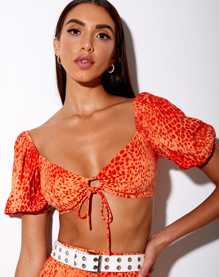 Bild von Chelin Crop Top in Farbverlauf Cheetah Tangerine