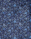 Blumengarten Blau