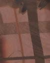  Foto Braun