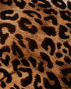 Nacht Leopard Braun