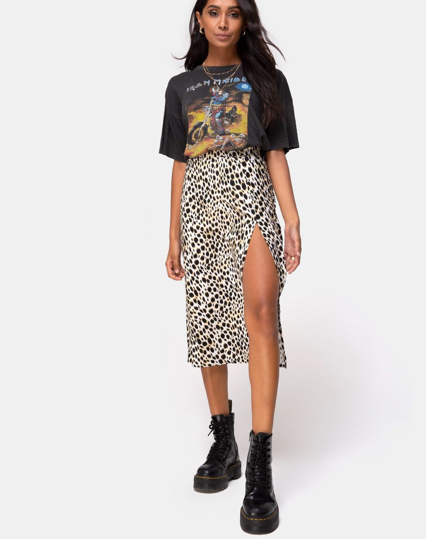 Bild von Saika Midirock in Cheetah