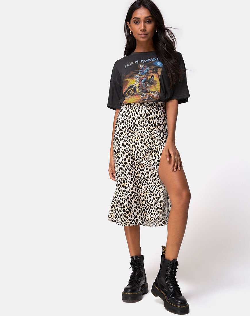 Bild von Saika Midirock in Cheetah
