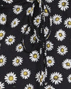  Grunge Gänseblümchen Schwarz