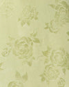 Shenka-Rock aus Satin Rose Lime