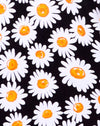 Daisy Love Schwarz