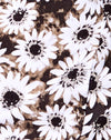 Gefärbtes Gänseblümchen