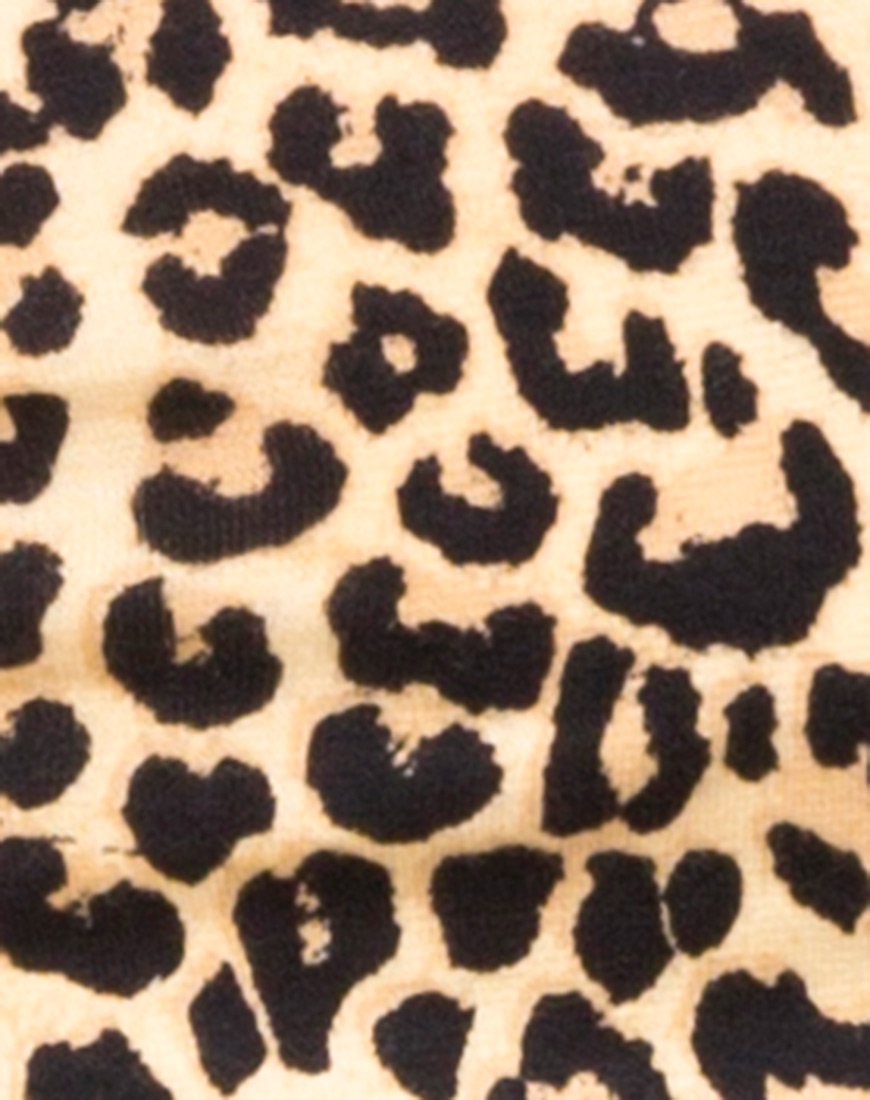 Bild von Shim Cutout Crop Top in Rar Leopard