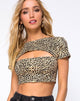 Bild von Shim Cutout Crop Top in Rar Leopard