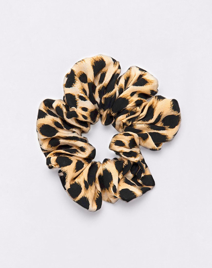 Bild von Scrunchie in Cheetah