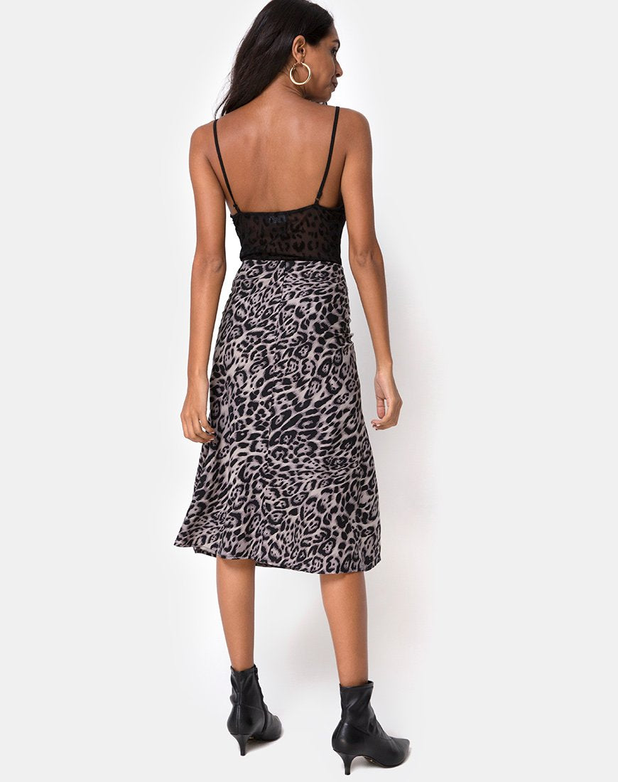 Bild von Tauri Midirock in Leopard Grau