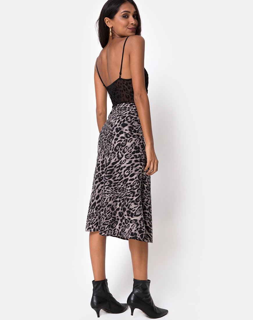 Bild von Tauri Midirock in Leopard Grau