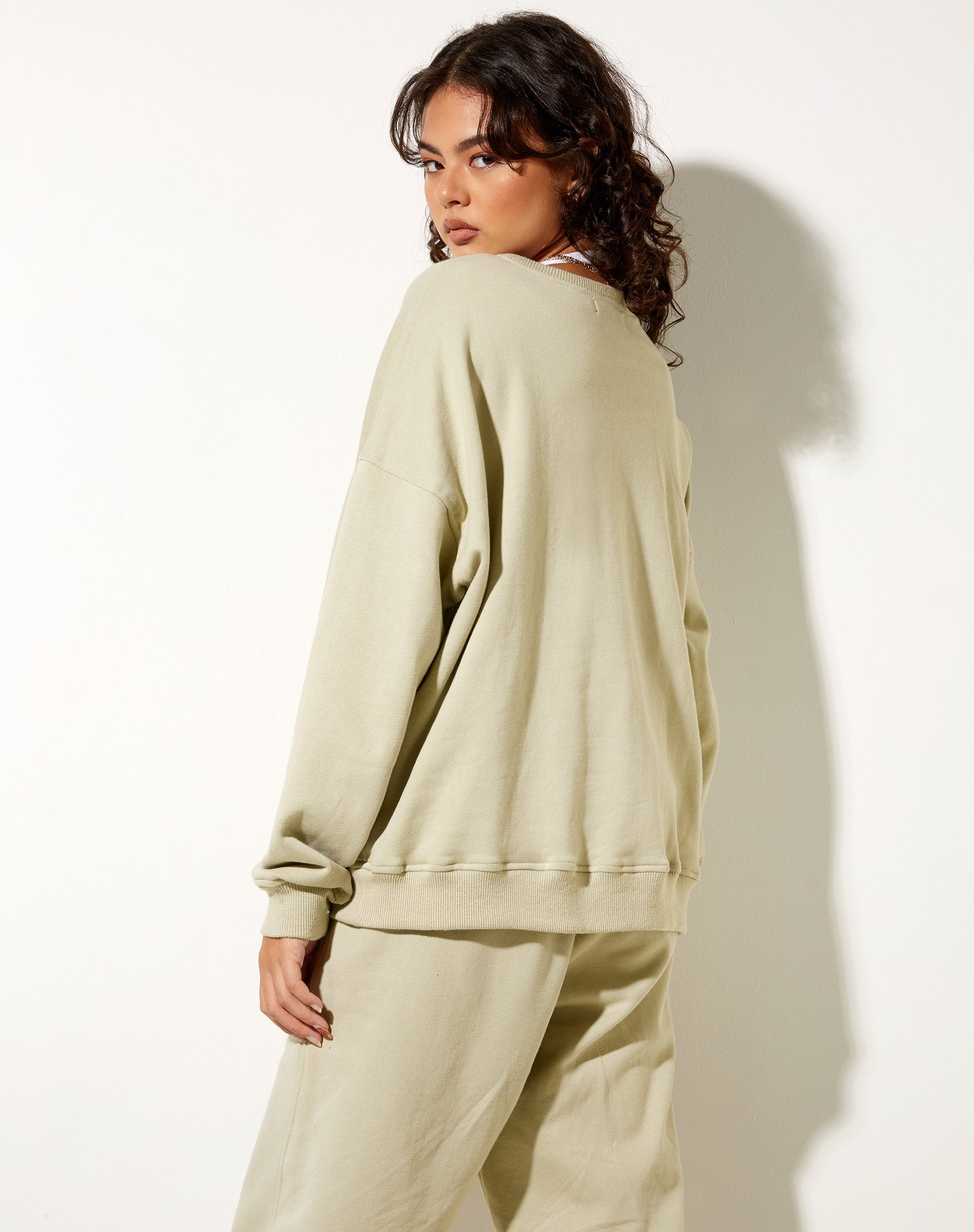 Image of Ted Sweatshirt in Pastellgrün Keepin It Casual