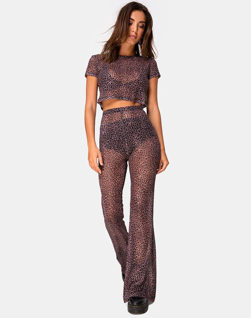 Image of Herlom Schlaghose in Rar Leopard Mesh