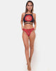 Bild von Truman Bikini Bottom in Chinese Fire Dragon