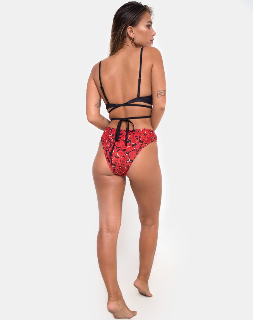 Bild von Truman Bikini Bottom in Chinese Fire Dragon