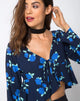 Bild von Vine Top in Midnight Blue Rose