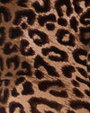 Nacht Leopard Braun