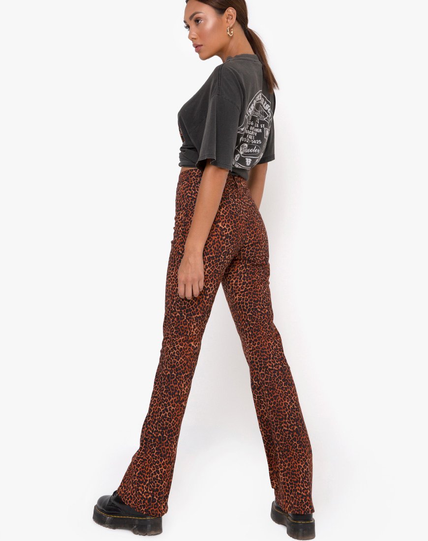 Bild von Zoven Hose in Ditsy Leopard Orange