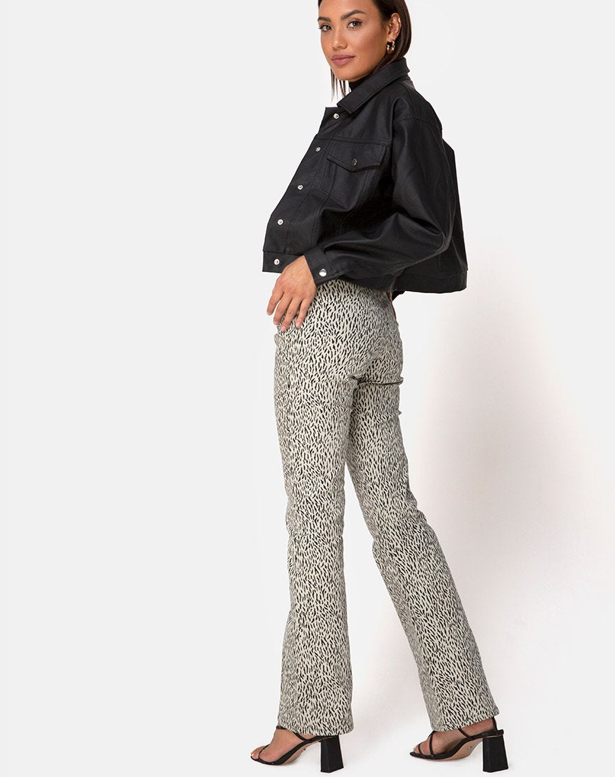 Bild von Zoven Hose in Mini Jaguar