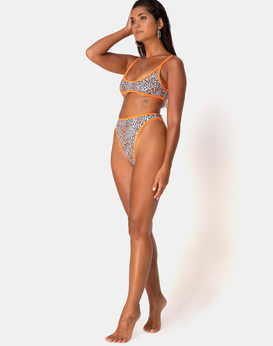 Bild von Sikila Bikini Bottom in Mini Tiger mit orangefarbenen Bändern