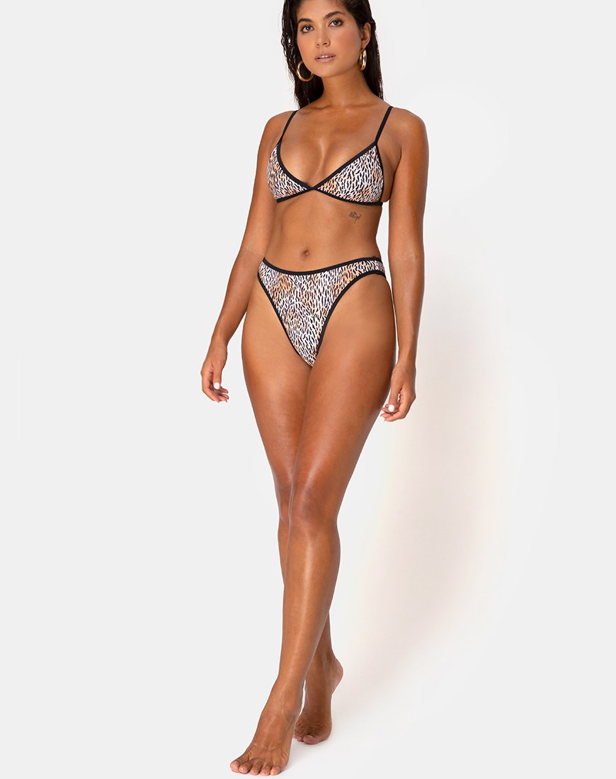 Image of Varna Bikinioberteil in Mini Tiger mit schwarzen Bändern